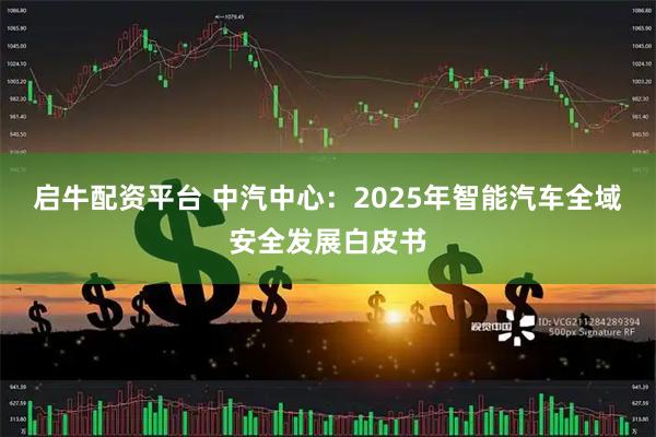 启牛配资平台 中汽中心：2025年智能汽车全域安全发展白皮书