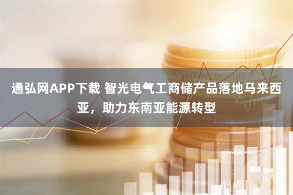 通弘网APP下载 智光电气工商储产品落地马来西亚，助力东南亚能源转型